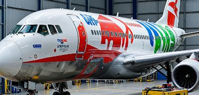 Aircraft paint stripping service